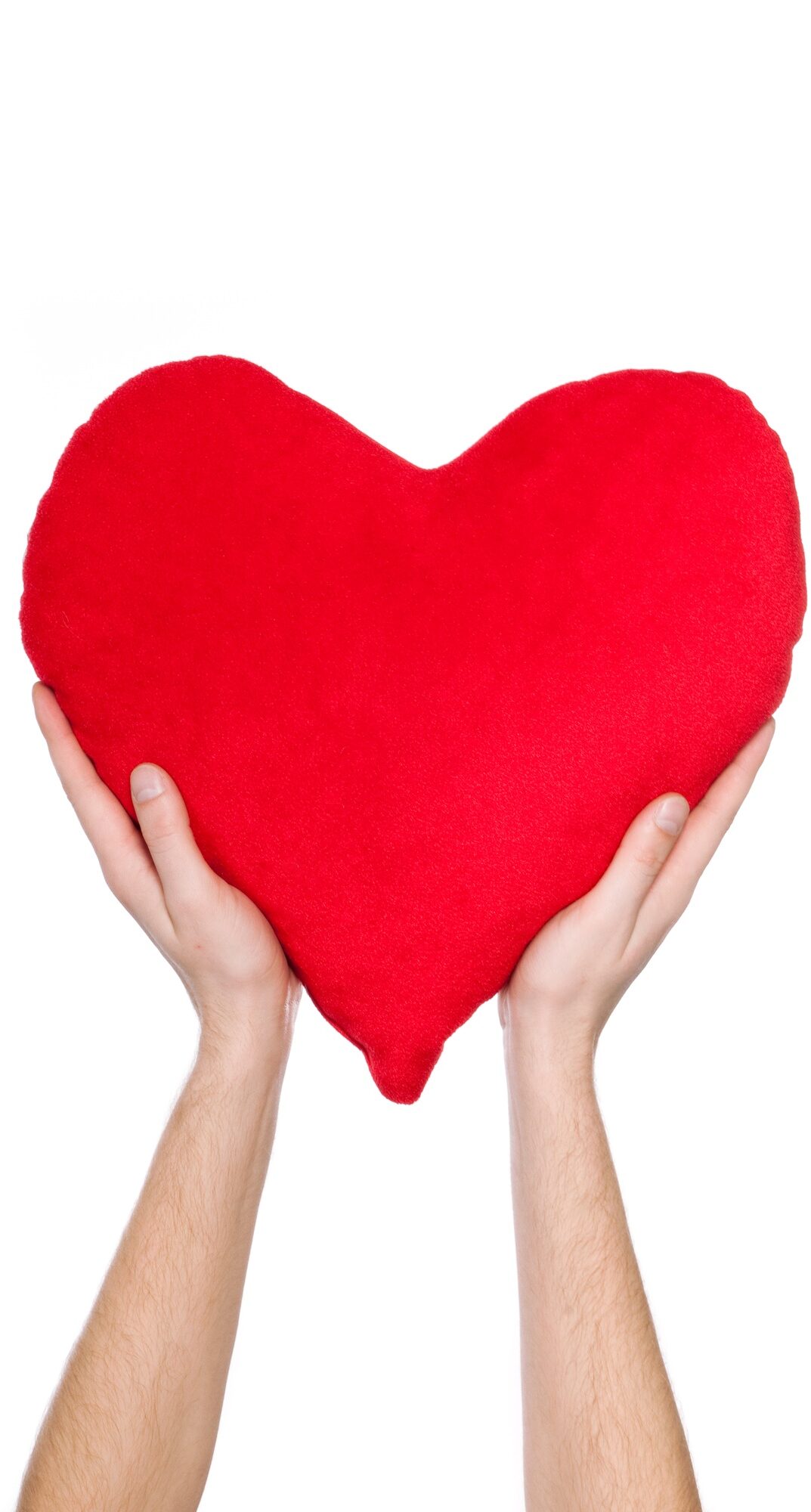 red heart in the hands